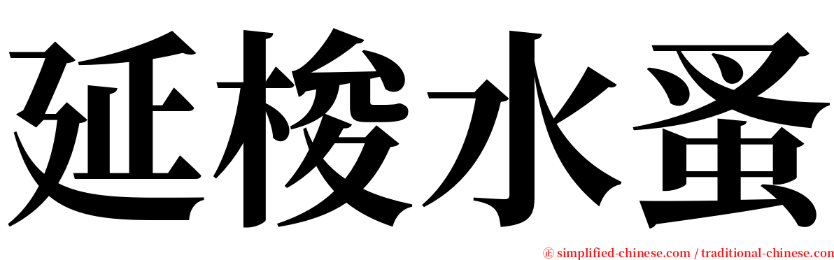 延梭水蚤 serif font