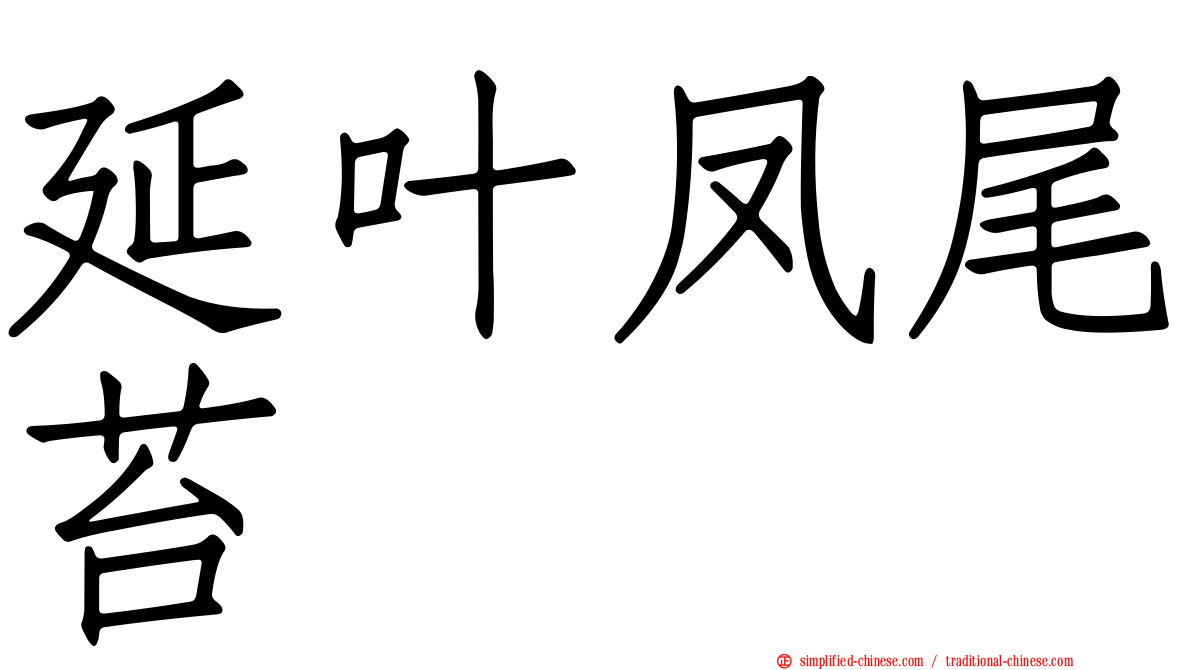 延叶凤尾苔