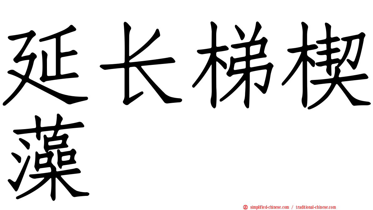延长梯楔藻