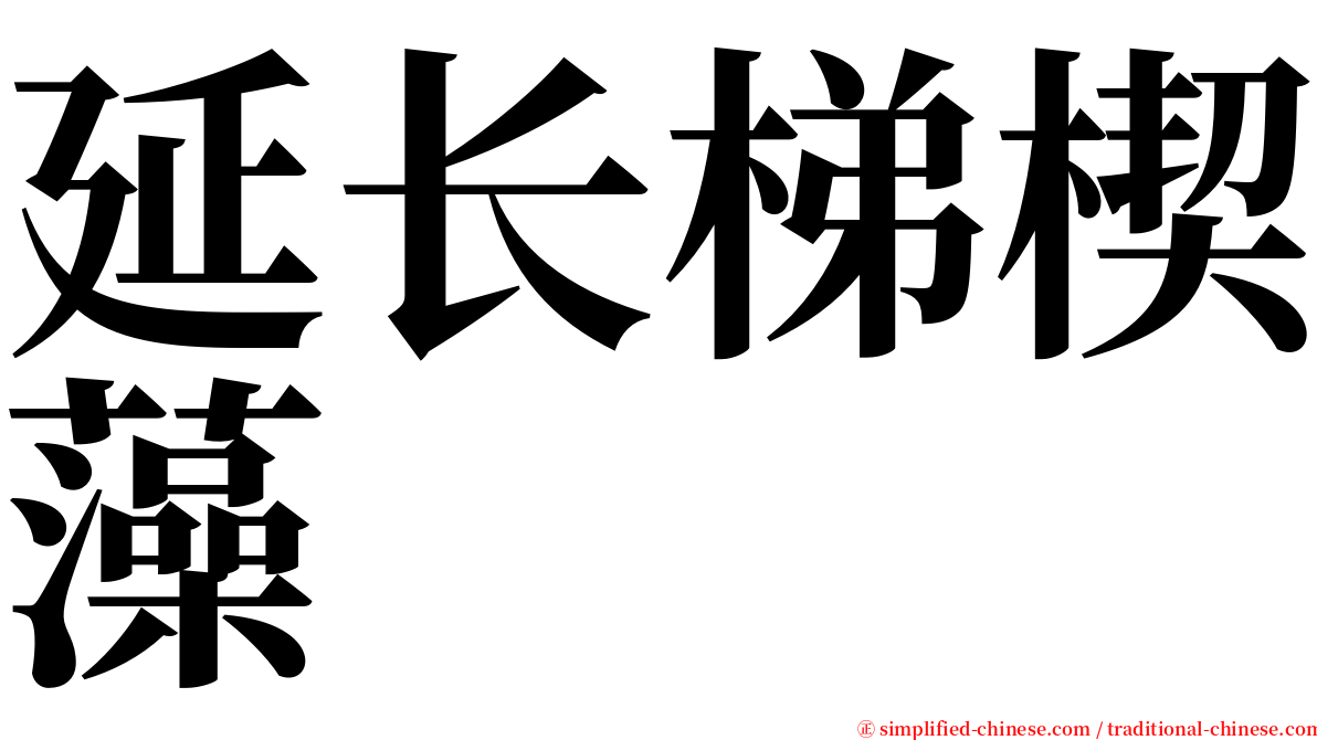 延长梯楔藻 serif font