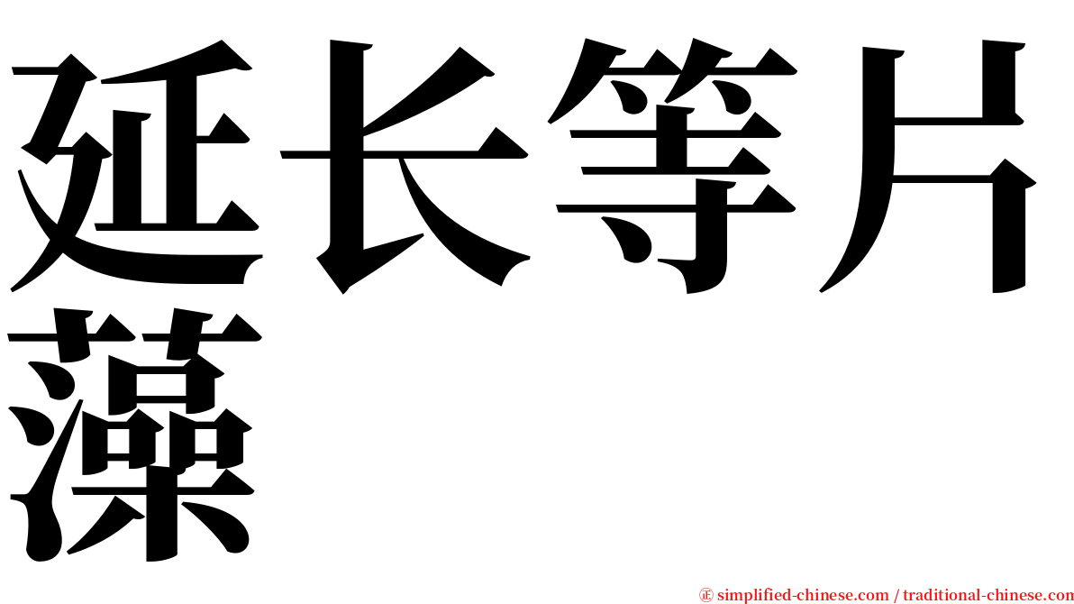 延长等片藻 serif font