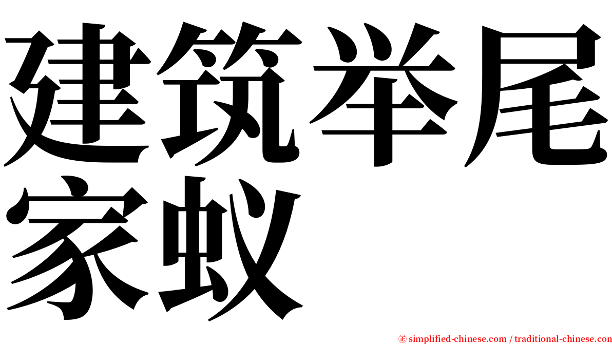 建筑举尾家蚁 serif font