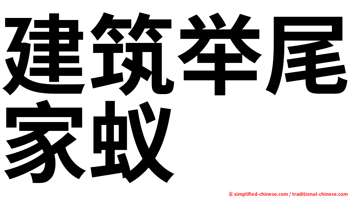建筑举尾家蚁
