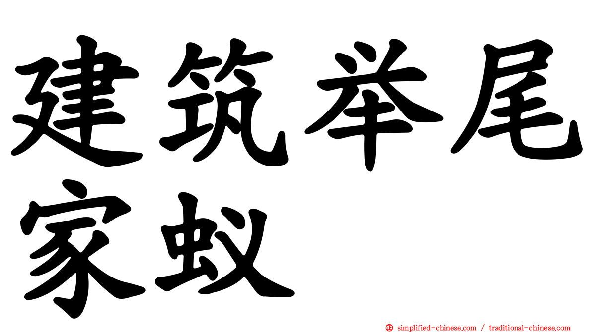 建筑举尾家蚁