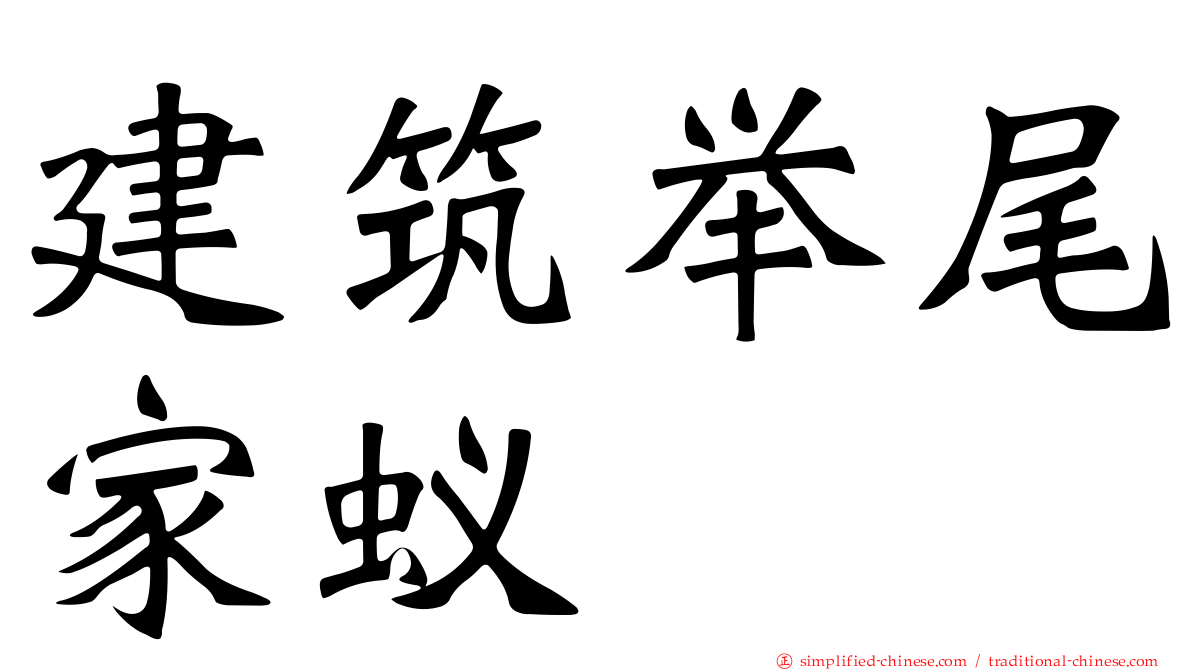 建筑举尾家蚁