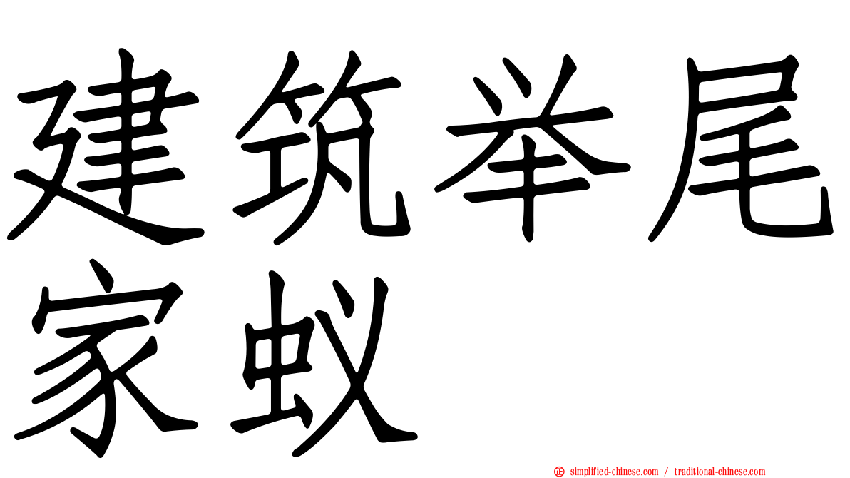 建筑举尾家蚁