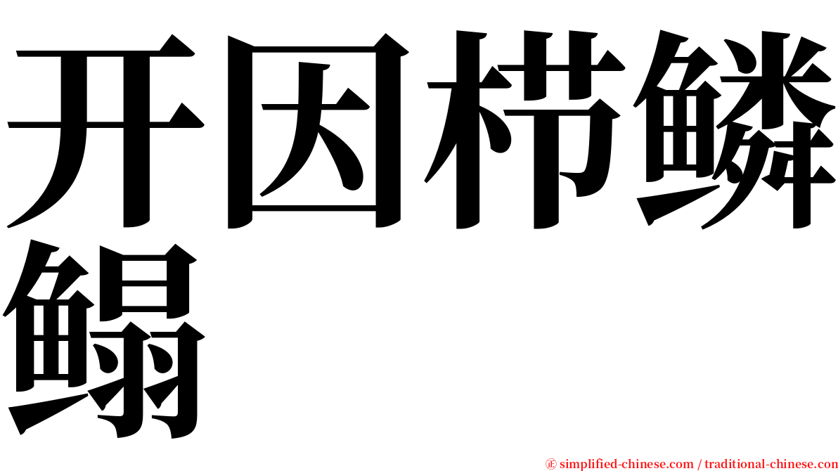 开因栉鳞鳎 serif font