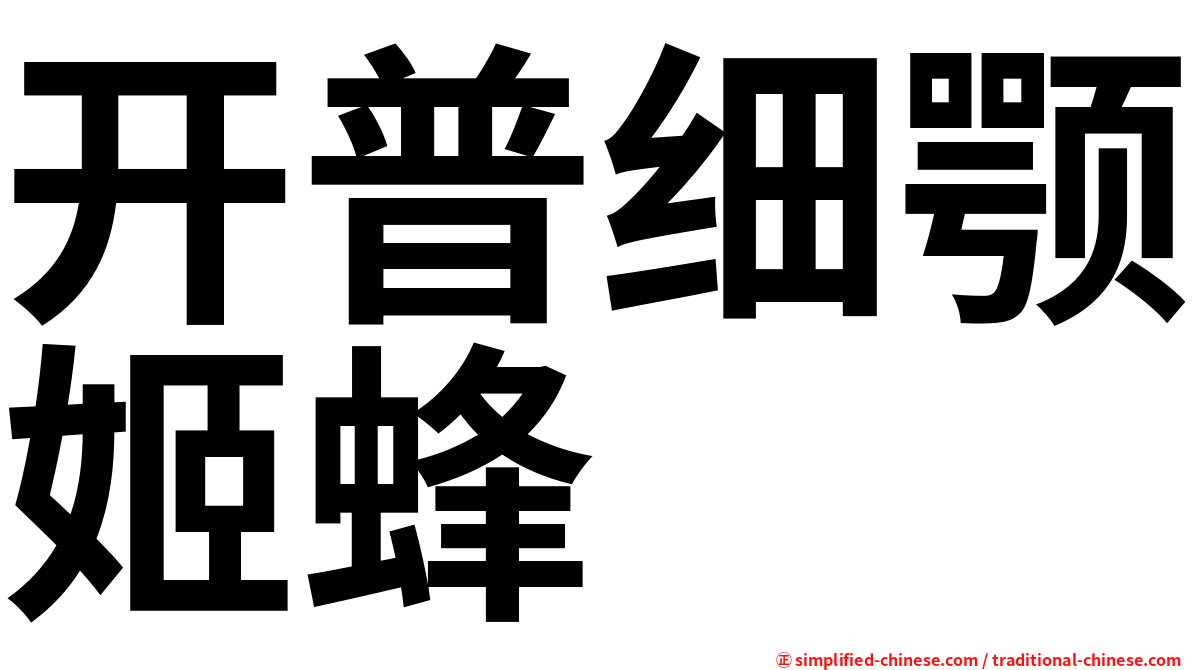 开普细颚姬蜂