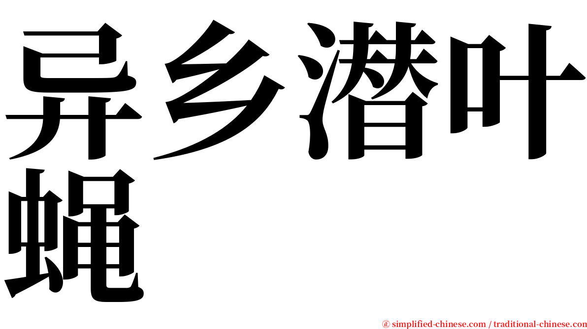 异乡潜叶蝇 serif font