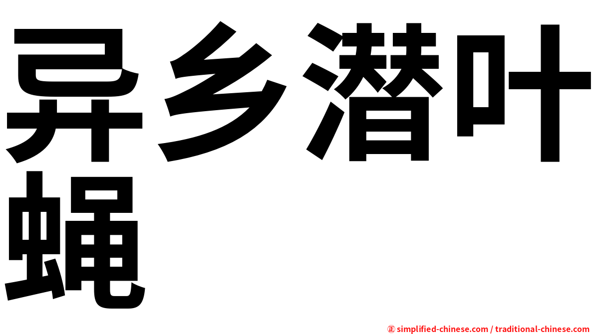 异乡潜叶蝇