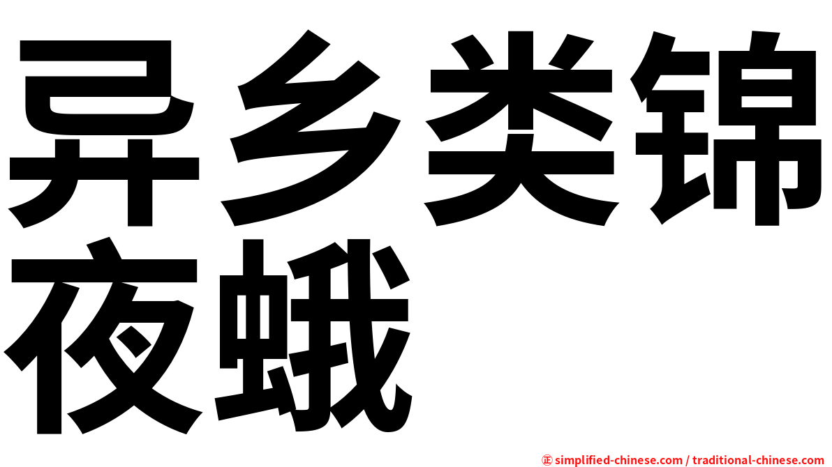 异乡类锦夜蛾