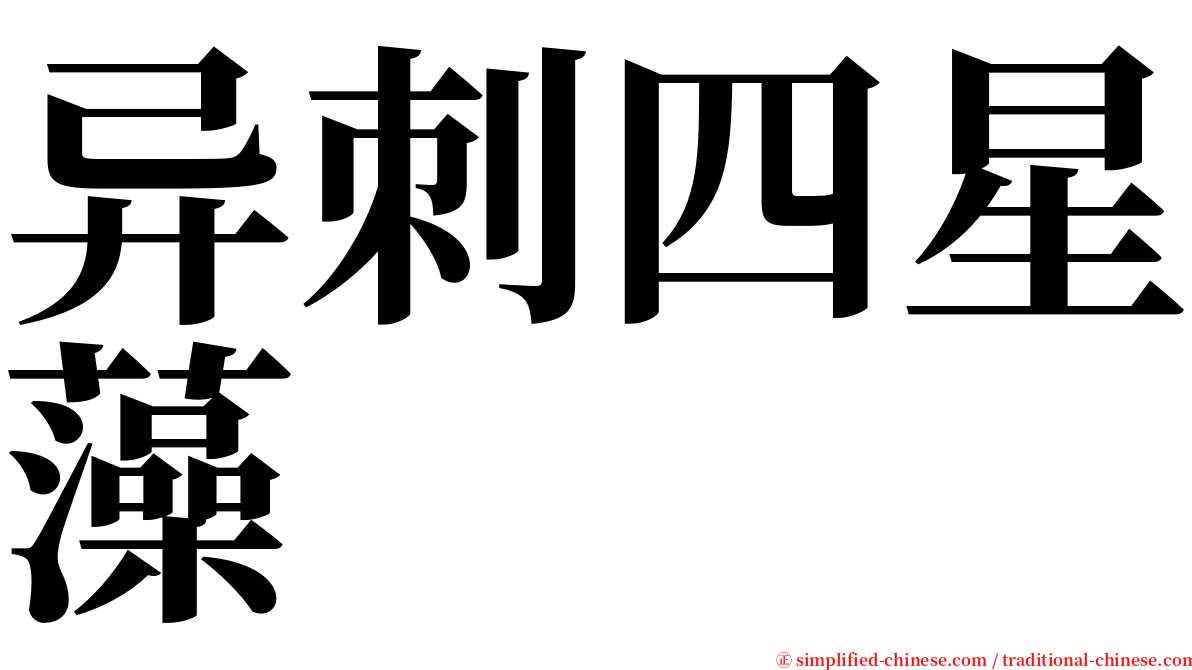 异刺四星藻 serif font