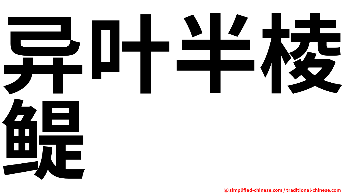 异叶半棱鳀