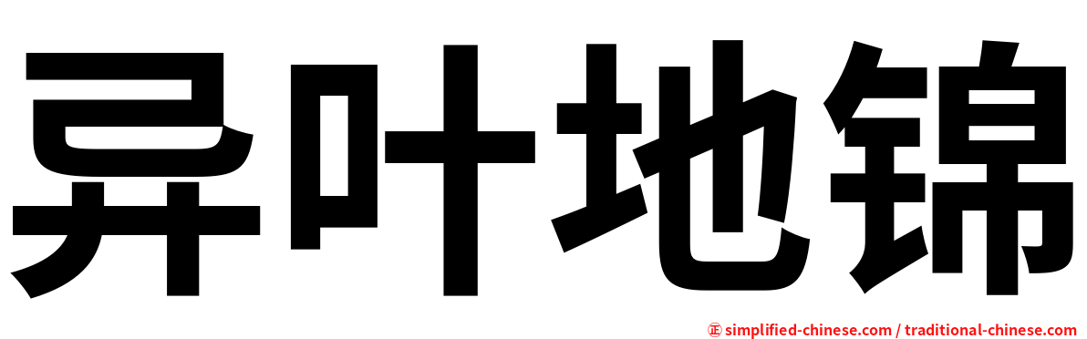 异叶地锦