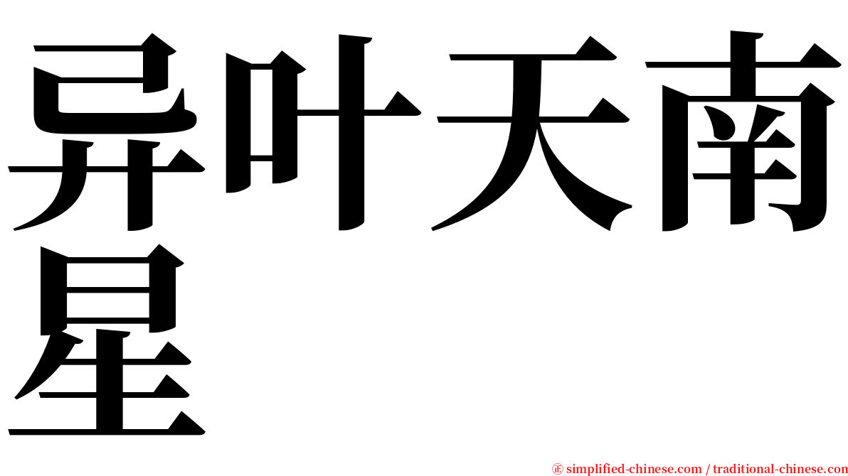 异叶天南星 serif font
