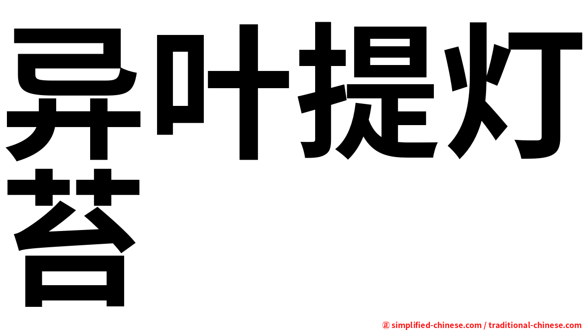 异叶提灯苔
