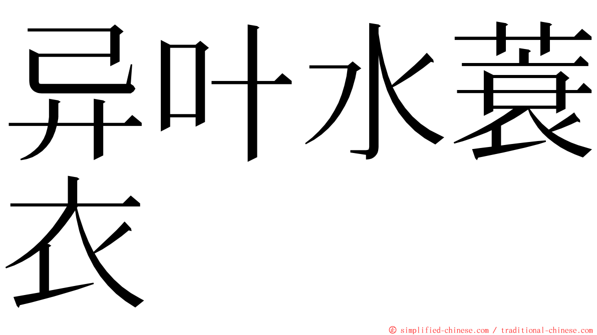 异叶水蓑衣 ming font