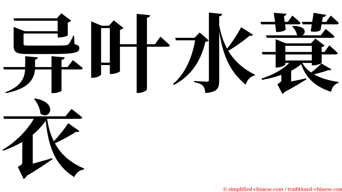 异叶水蓑衣 serif font