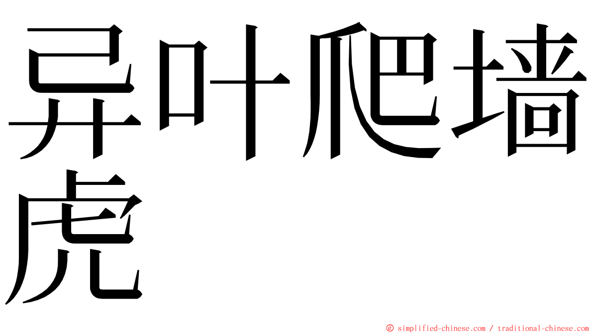 异叶爬墙虎 ming font