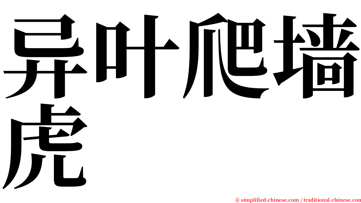 异叶爬墙虎 serif font