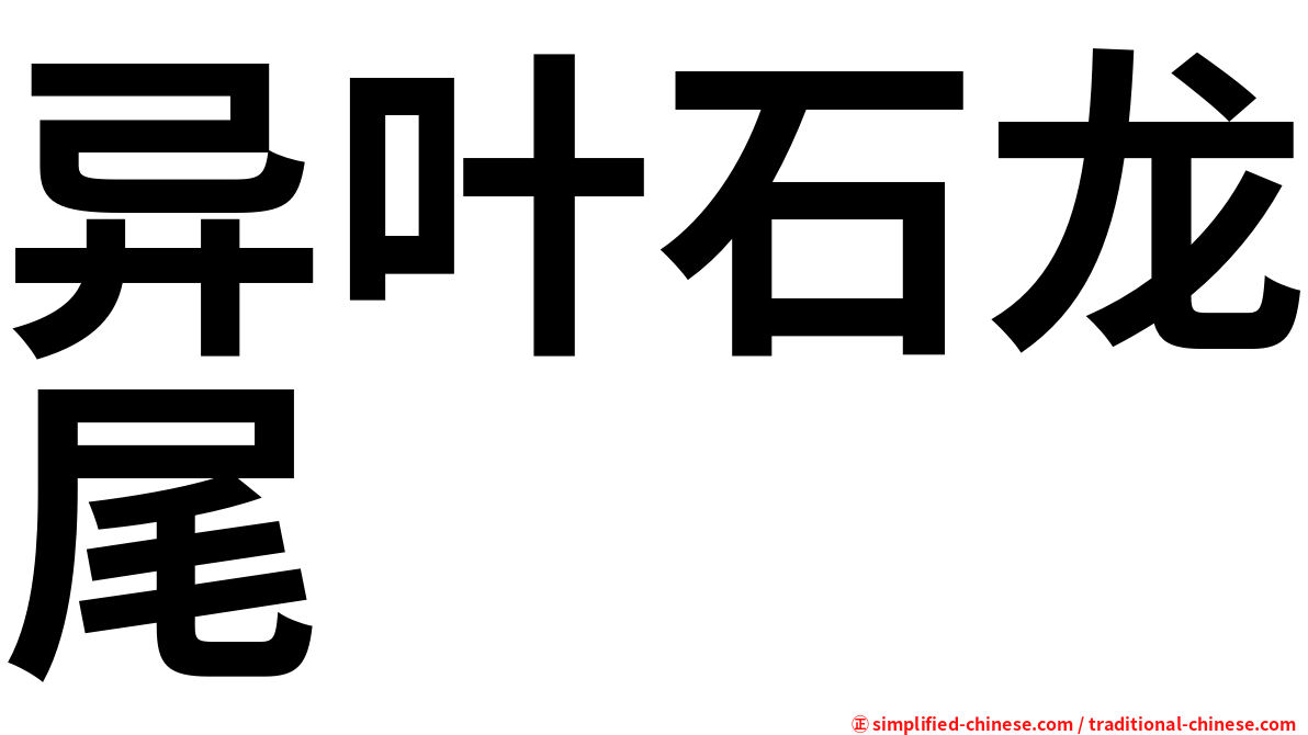 异叶石龙尾
