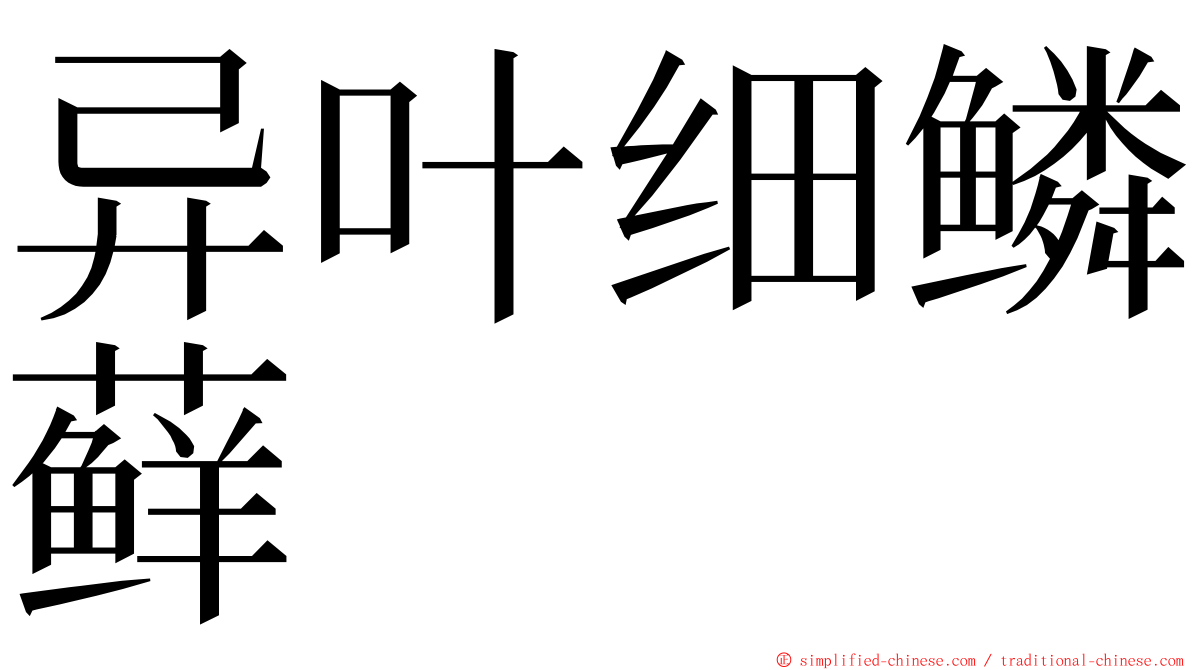异叶细鳞藓 ming font
