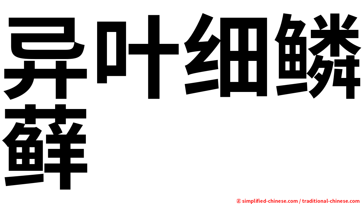 异叶细鳞藓