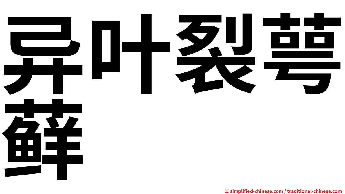 异叶裂萼藓