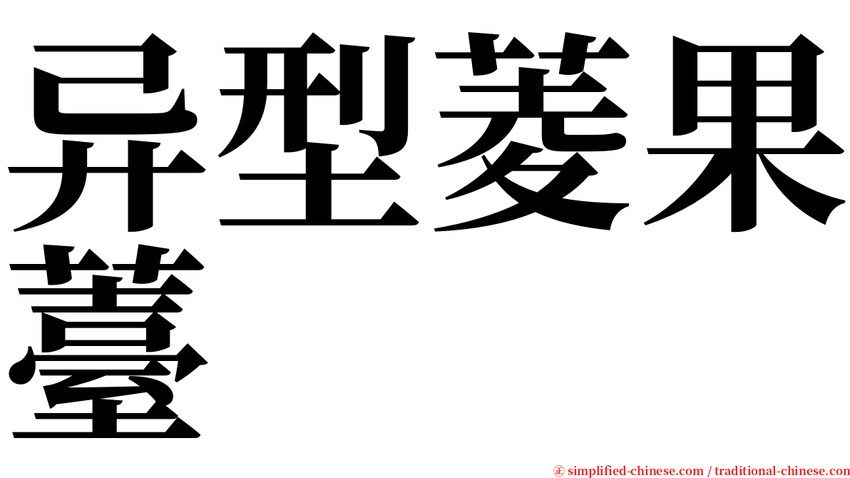 异型菱果薹 serif font