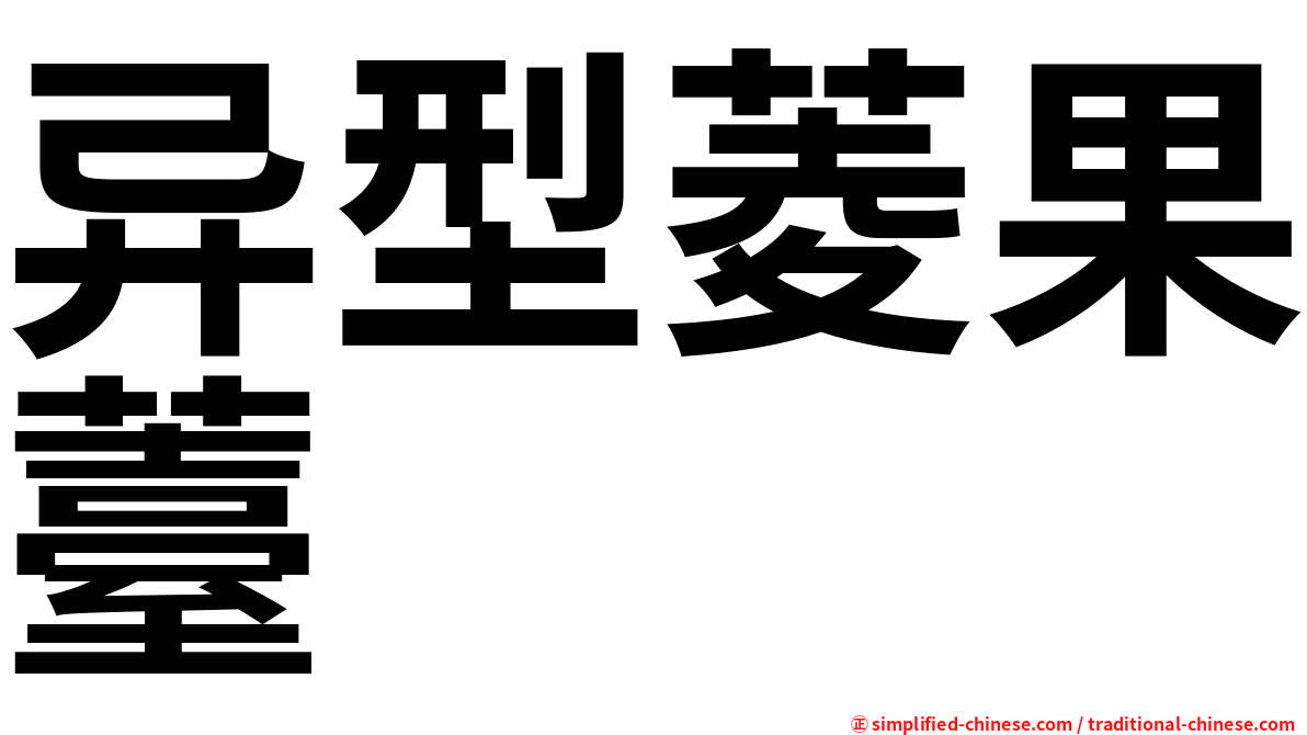 异型菱果薹