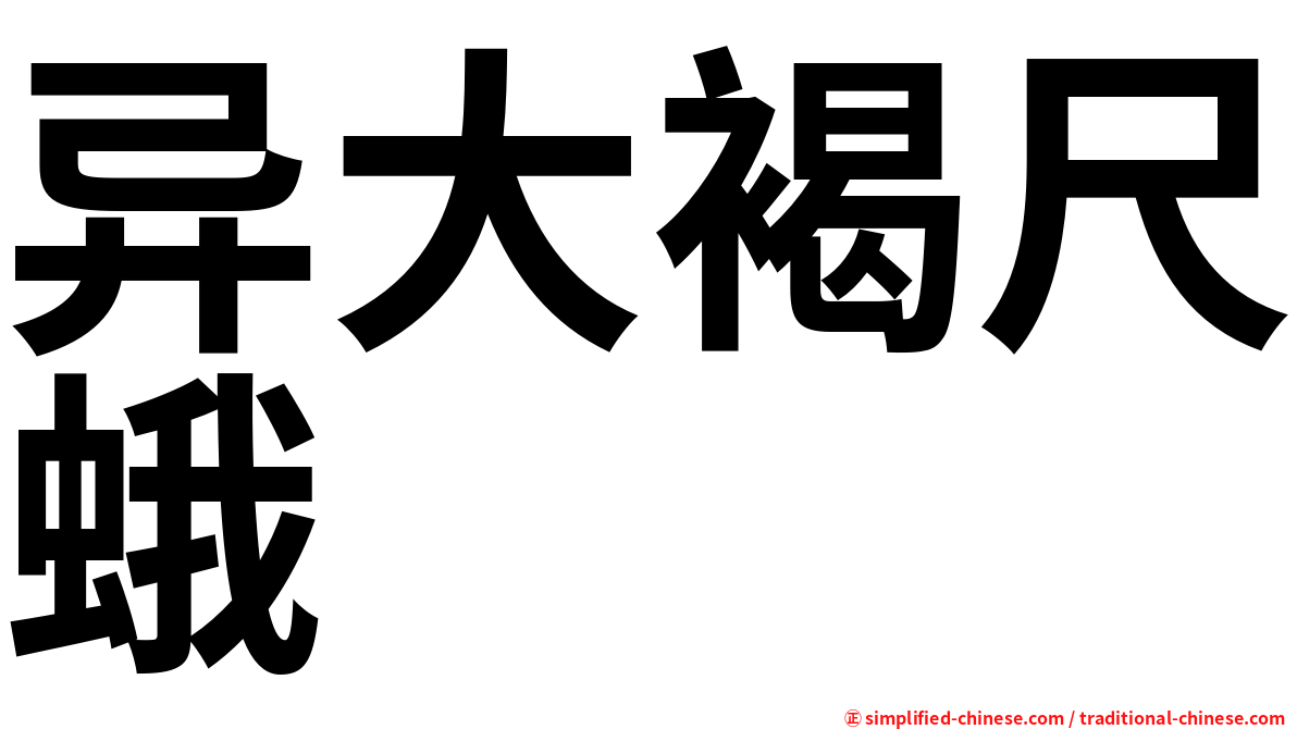 异大褐尺蛾