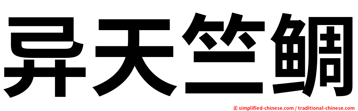 异天竺鲷