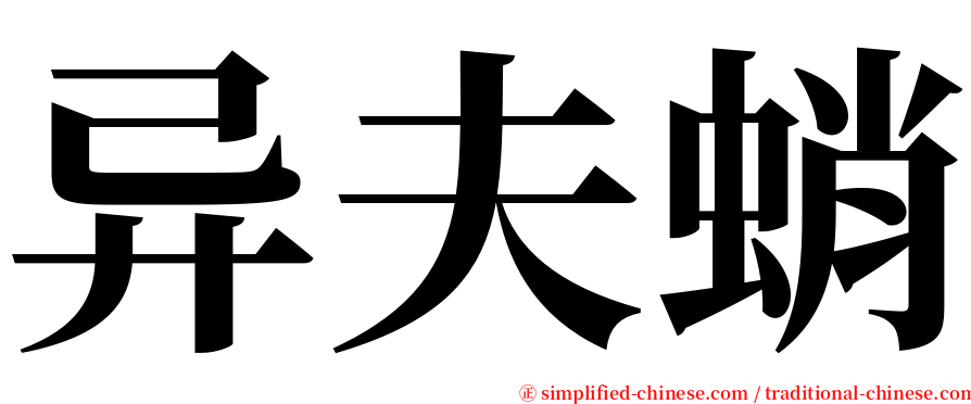 异夫蛸 serif font