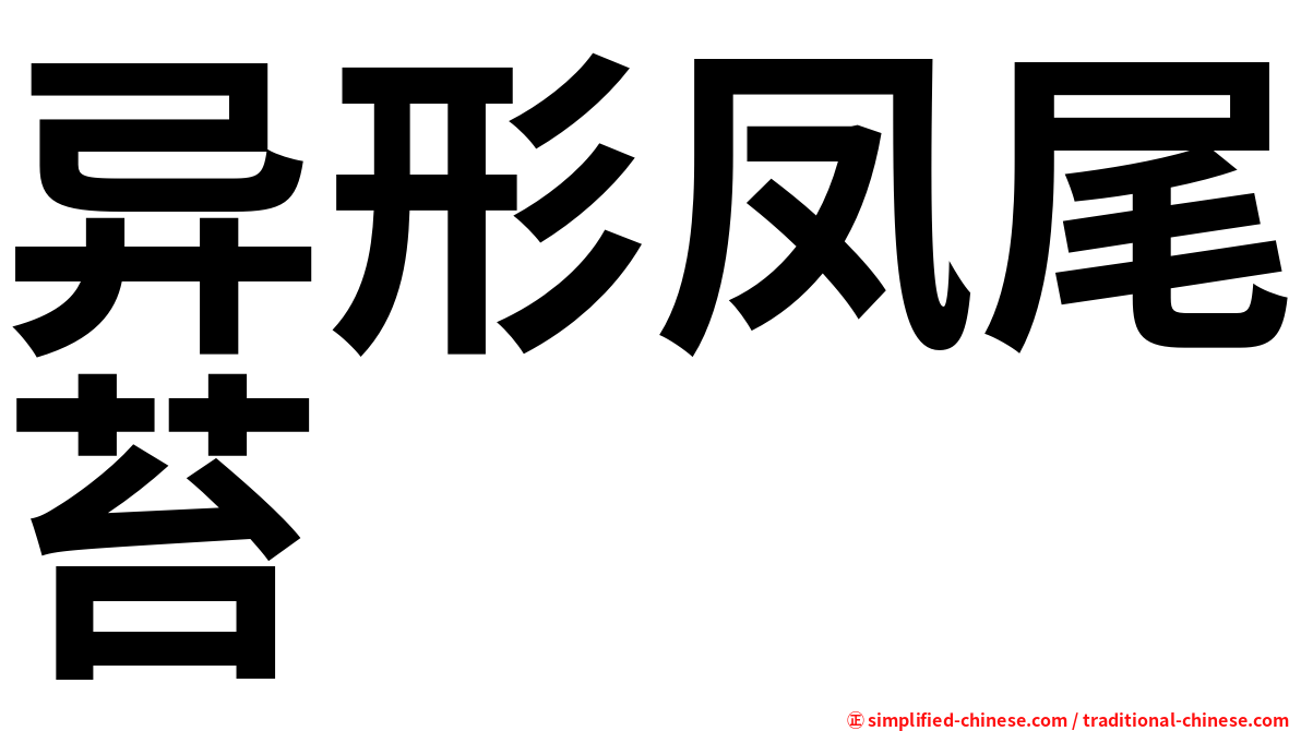 异形凤尾苔