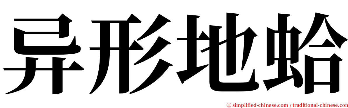 异形地蛤 serif font