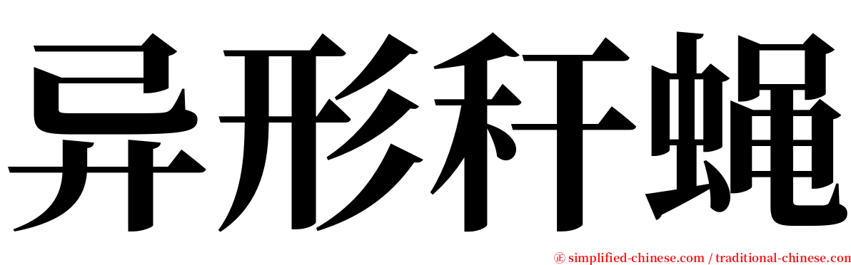 异形秆蝇 serif font