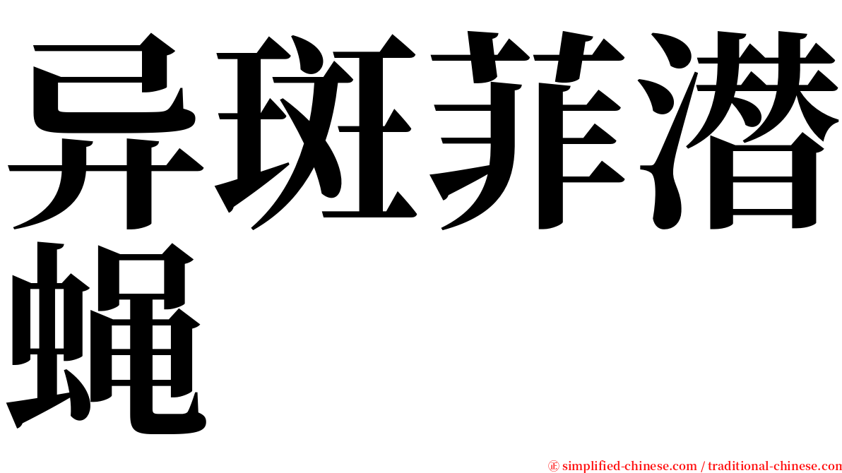 异斑菲潜蝇 serif font