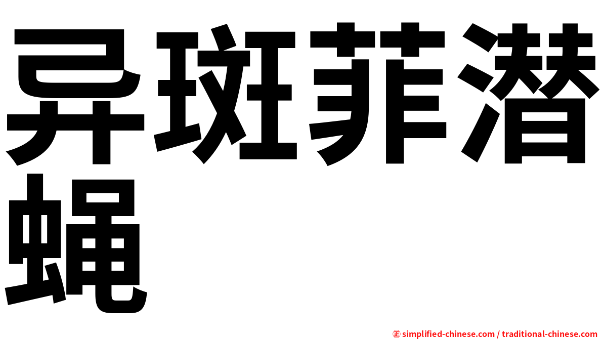 异斑菲潜蝇