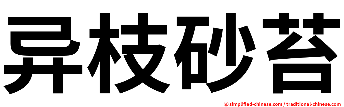 异枝砂苔