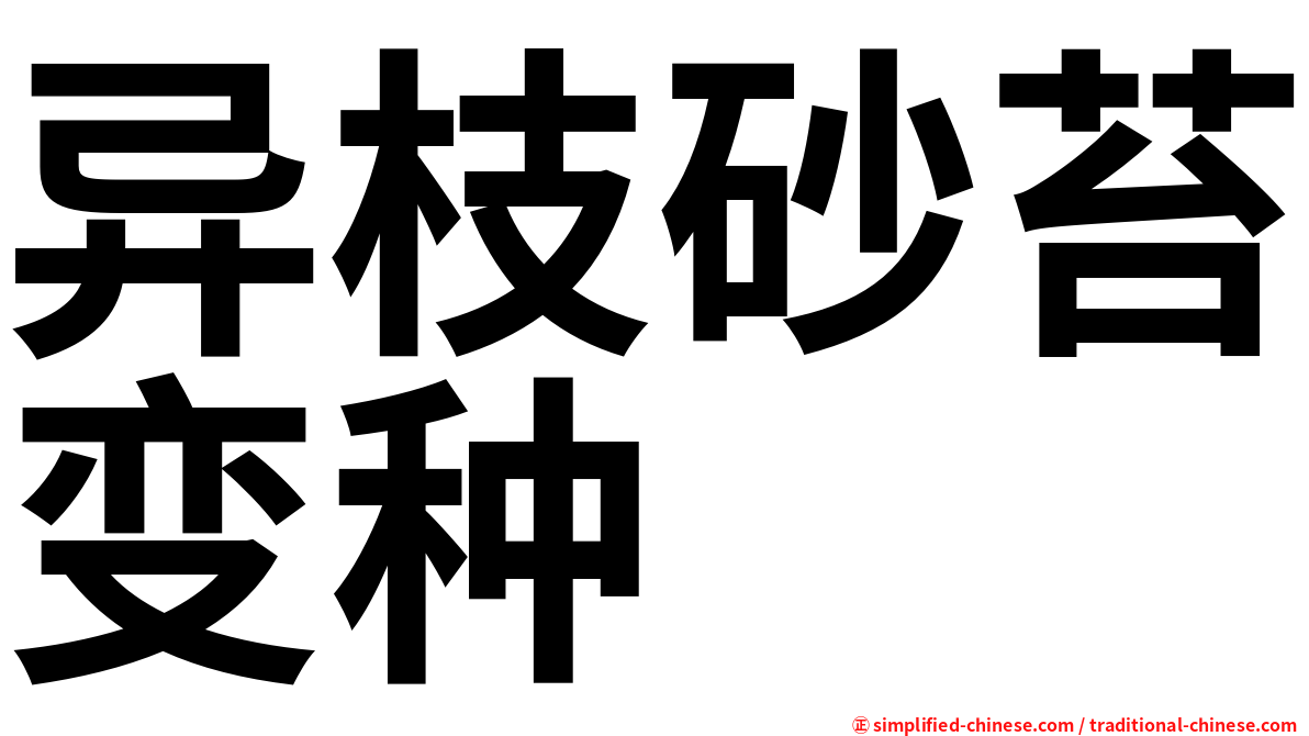 异枝砂苔变种