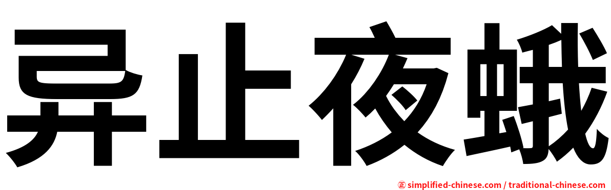 异止夜蛾