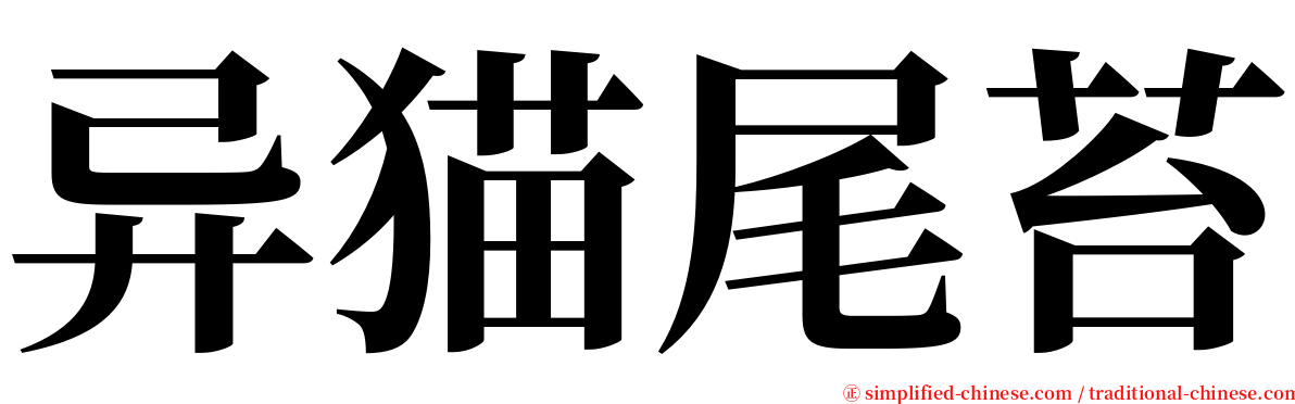 异猫尾苔 serif font