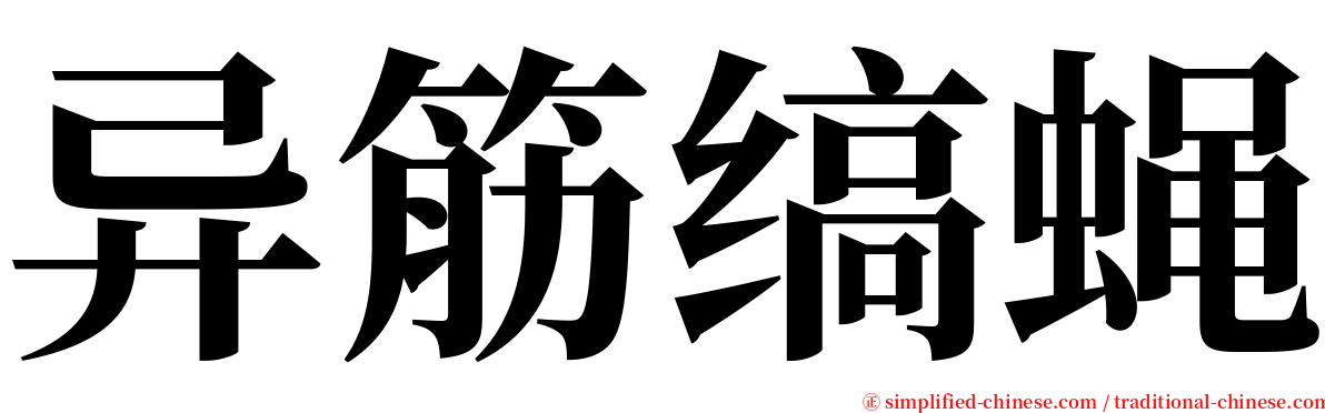 异筋缟蝇 serif font