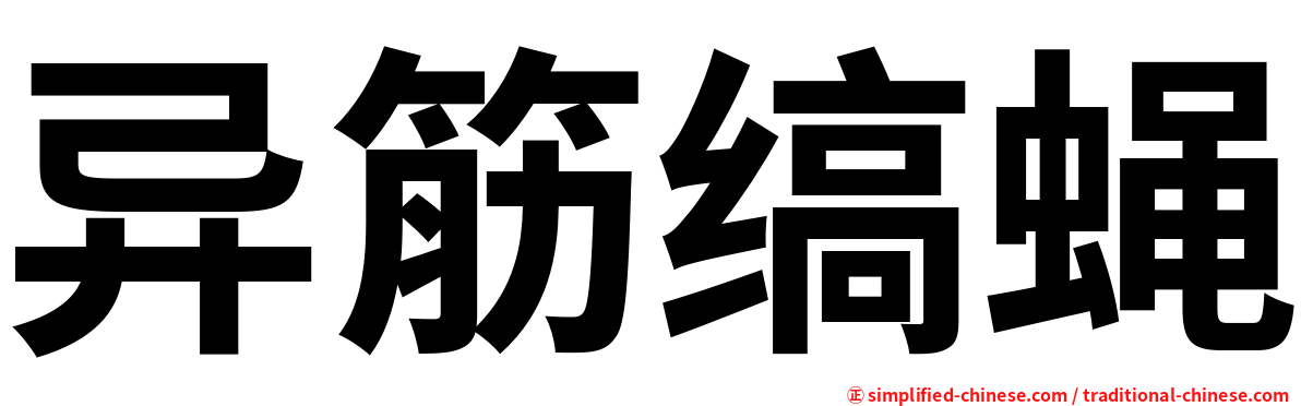 异筋缟蝇