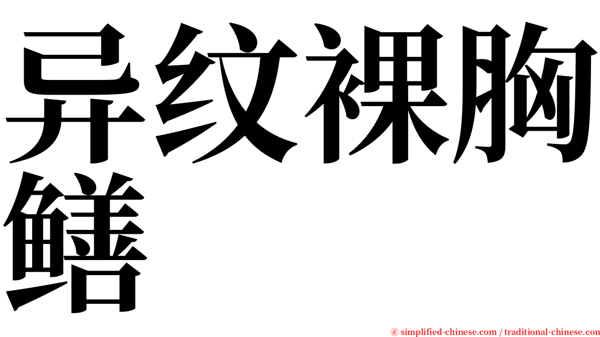 异纹裸胸鳝 serif font