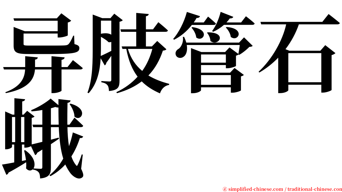 异肢管石蛾 serif font