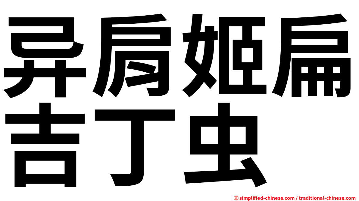异肩姬扁吉丁虫