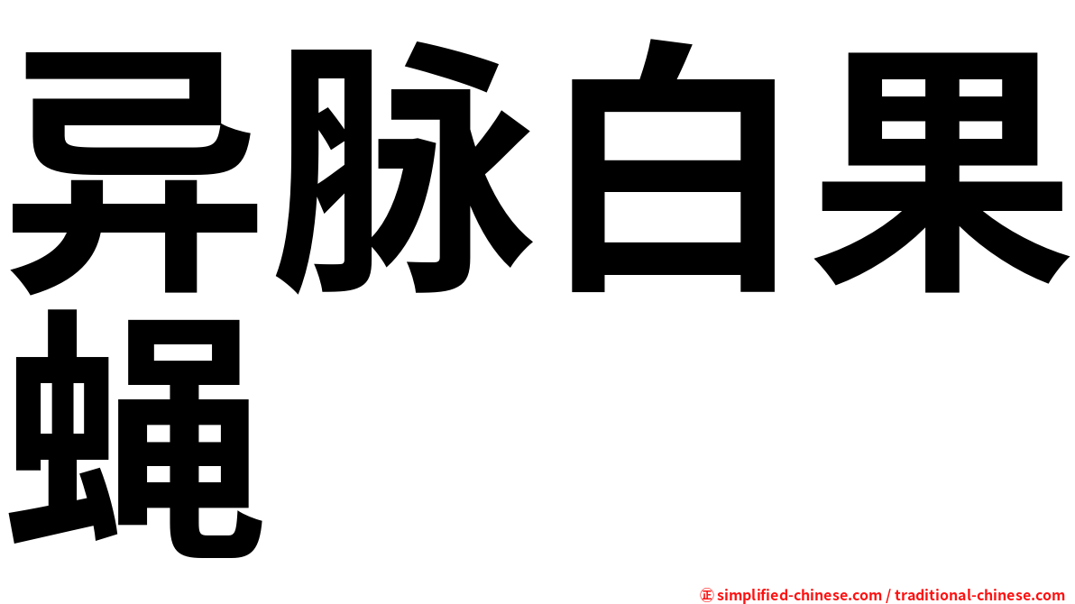 异脉白果蝇