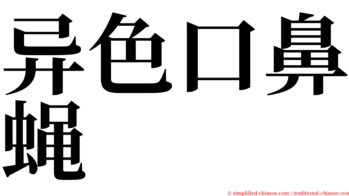 异色口鼻蝇 serif font