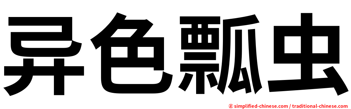 异色瓢虫